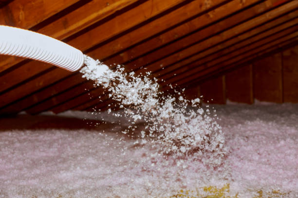 Best Geographic-Specific Insulation Services in Flora, MS