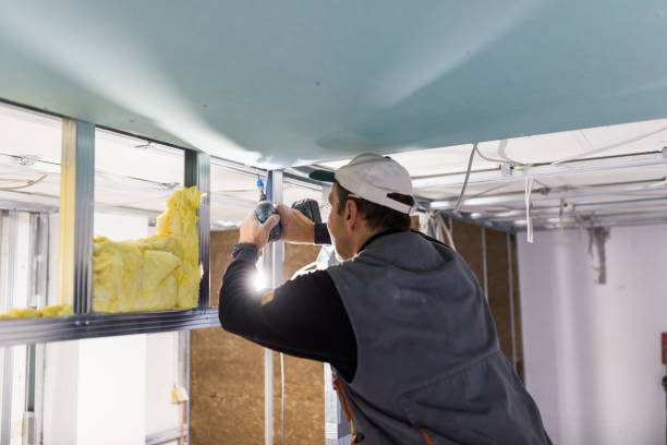 Types of Insulation We Offer in Flora, MS
