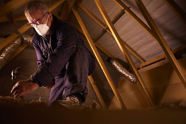 Best Blown-in Insulation in Flora, MS
